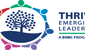 How to Move to the Next Level Professional Development Seminar hosted by THRIVE